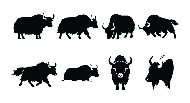 Tibetan Yak Silhouette Vector Set - Himalayan Wild Ox Icons in Various Poses