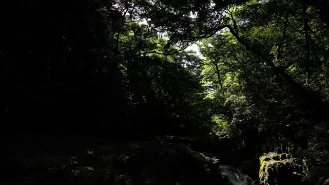 菊池渓谷・黎明の滝｜新緑に包まれた清流の滝と渓谷美・ドローン空撮（自然・背景素材）
Reimei Waterfall, Kikuchi Gorge Japan | Fresh Green Forest, Clear Waterfall and Scenic Gorge Aerial Drone Background