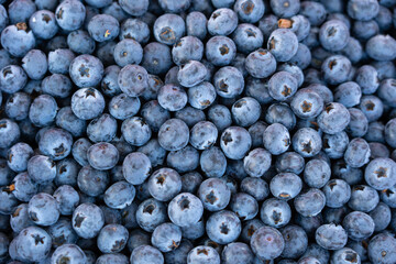 closeup of fresh blueberry fruit  background © zhikun sun