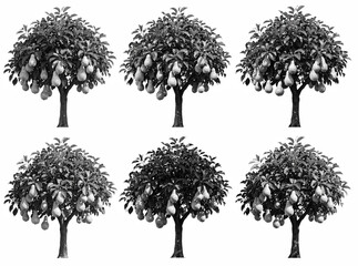 Fototapeta premium Six pear trees in monochrome. Fruit hangs heavy from branches. Dense foliage frames each trunk. Image shows natural abundance. Trees stand evenly spaced. Texture details clearly visible