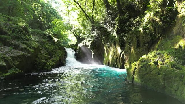Reimei Waterfall, Kikuchi Gorge Japan | Fresh Green Forest, Clear Waterfall and Scenic Gorge Aerial Drone Background