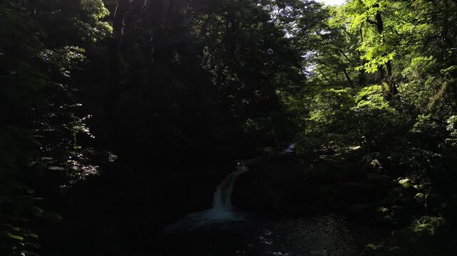 Reimei Waterfall, Kikuchi Gorge Japan | Fresh Green Forest, Clear Waterfall and Scenic Gorge Aerial Drone Background