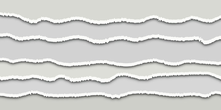 Torn paper strip and ripped edge set. Isolated vector illustration of blank white paper borders with rough shredded texture on gray background for collage design.