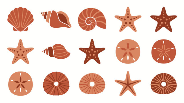 Collection of terracotta colored minimalist seashell starfish and sand dollar vector icons on white background, Symbolizing coastal brand identity, illustrating summer marketing projects
