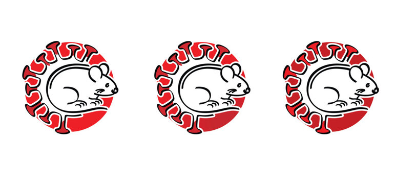 Hantavirus infections or hanta virus. Hantavirus, official name orthohantaviruses, are transmitted to humans through the urine, feces, and saliva of rats and mice. Hantaviruses. HPS symptoms.