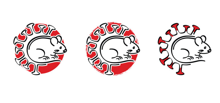 Hantavirus infections or hanta virus. Hantavirus, official name orthohantaviruses, are transmitted to humans through the urine, feces, and saliva of rats and mice. Hantaviruses. HPS symptoms.