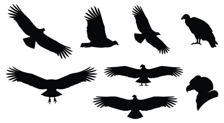 Obraz premium Adobe Illustrator ArtworkVulture Silhouette Vector Set - Scavenger Bird Icons in Flying, Perching, and Soaring Pose