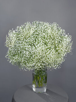 Bouquet of Gypsophila Avrora in a transparent vase.