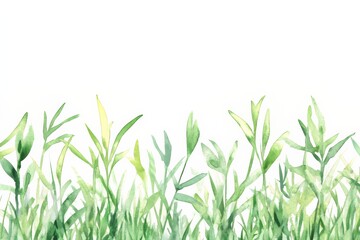 Fototapeta premium Green grass and plants grow under bright light in a simple setting