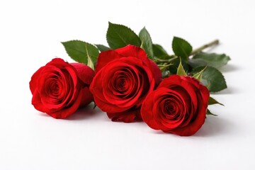 Fototapeta premium Three vibrant red roses positioned on a smooth white background