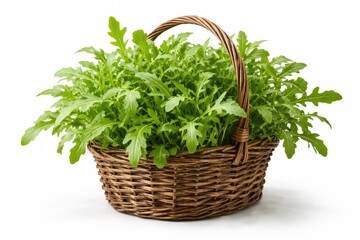 Fototapeta premium Isolated organic arugula vegetable tree in rustic basket on white background