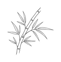 Delicate line of a bamboo stalk with leaves stem plant © Mohammad