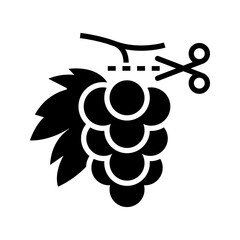 Naklejka premium Grape harvest icon. Agriculture and viticulture filled symbol. Black and white.