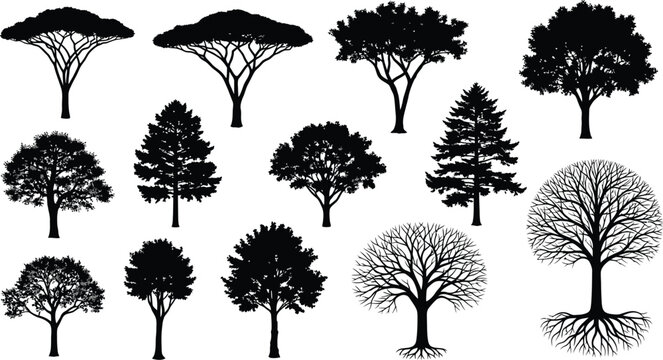 Vector set of black tree silhouettes with leaves and roots isolated on white.