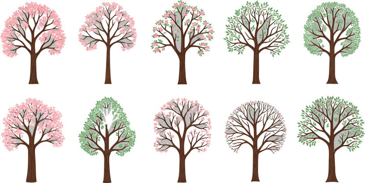 Cherry blossom and bare trees illustration set Vector