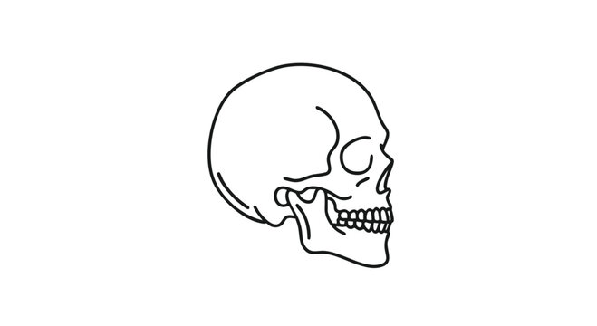 A skull side line art illustration in a simple black and white minimalist style