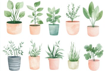 Fototapeta premium Different types of plants in pots in various shapes and sizes arranged in a grid pattern on a white background