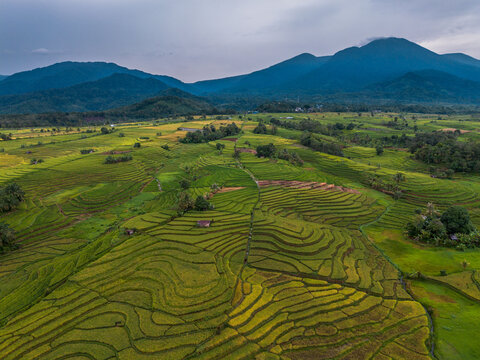 The natural beauty of the Indonesian mountains with beautiful tropical forests at sunrise
