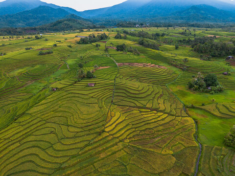 The natural beauty of the Indonesian mountains with beautiful tropical forests at sunrise