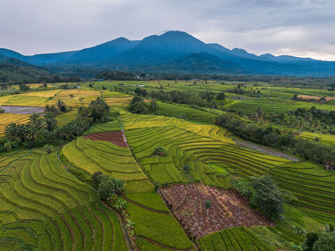 The natural beauty of the Indonesian mountains with beautiful tropical forests at sunrise