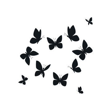 Black butterfly silhouettes are elegantly displayed in various flight and resting poses.