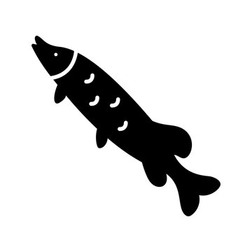 Northern pike icon. Animals and freshwater fish filled symbol. Black and white.