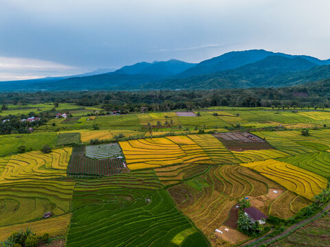 The natural beauty of the Indonesian mountains with beautiful tropical forests at sunrise