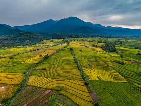 The natural beauty of the Indonesian mountains with beautiful tropical forests at sunrise