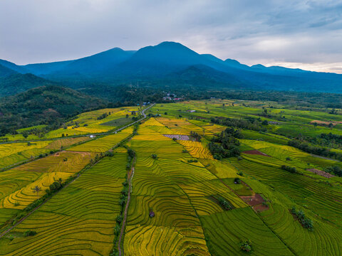 The natural beauty of the Indonesian mountains with beautiful tropical forests at sunrise