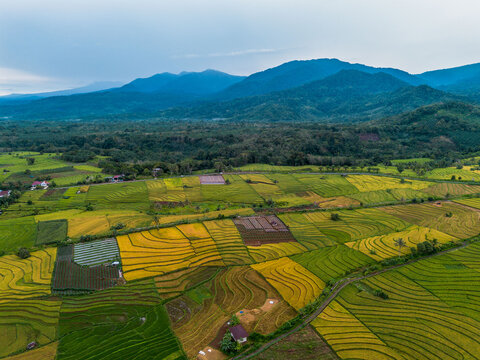 The natural beauty of the Indonesian mountains with beautiful tropical forests at sunrise