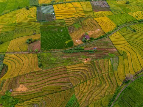 The natural beauty of the Indonesian mountains with beautiful tropical forests at sunrise
