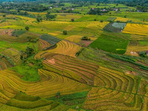 The natural beauty of the Indonesian mountains with beautiful tropical forests at sunrise