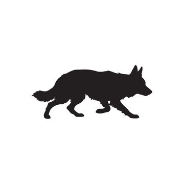 Black silhouette of a Border Collie dog in a herding pose white background desi
