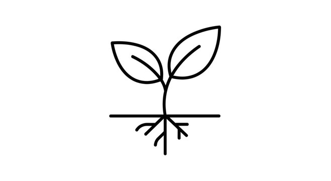 Simple line drawing of a seedling.