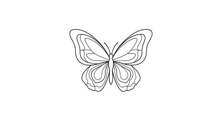 Detailed line drawing of a butterfly. © Klip
