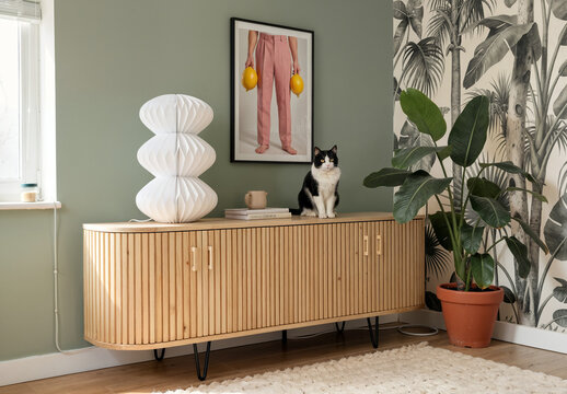 Black and white cat sitting on wooden sideboard in modern living room with tropical wallpaper.