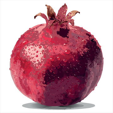 rad pomegranate illustration with paint splatters on white background. Elements vector of pomegranate with watercolor style isolated on white background.Realistic Watercolor Pomegranate Fruit Vector 