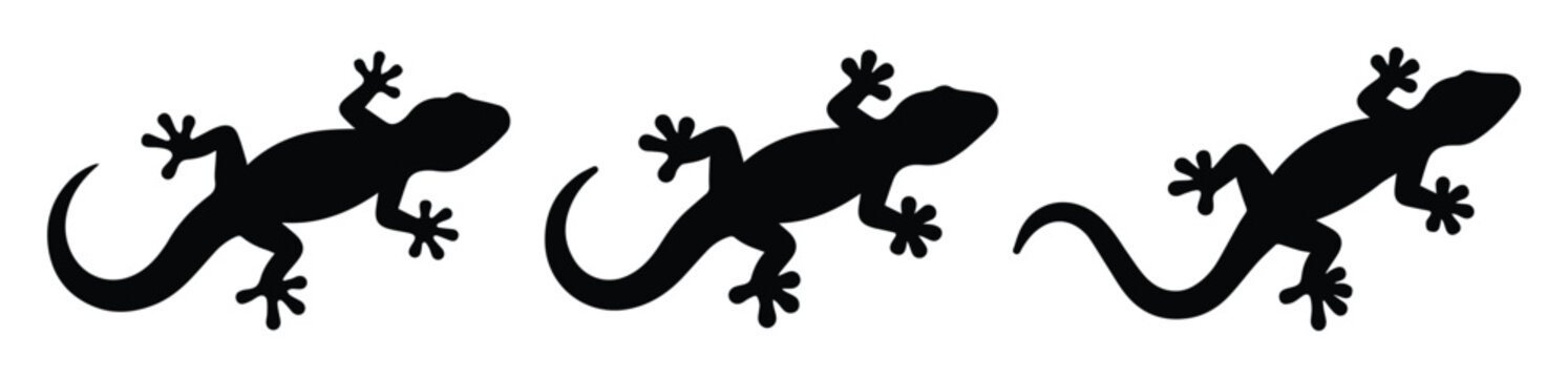 Lizard silhouette vector set, black gecko icons, reptile animal shapes on white background
