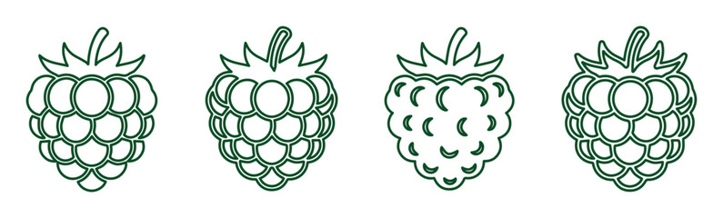 Minimalist raspberry line icons, set of 4 berry vector illustrations, green fruit outline graphics © usmi