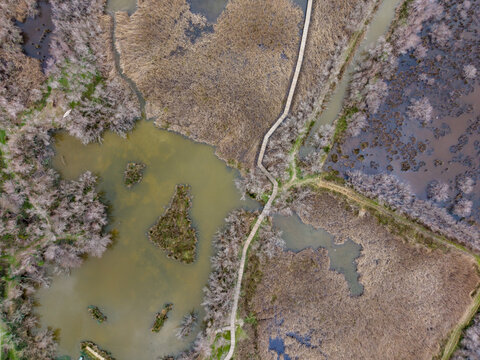 Aerial view of the Scamandre Regional Nature Reserve featuring a wooden boardwalk winding through marshes and dry reeds in Arles, Provence-Alpes-Cote d'Azur, France.