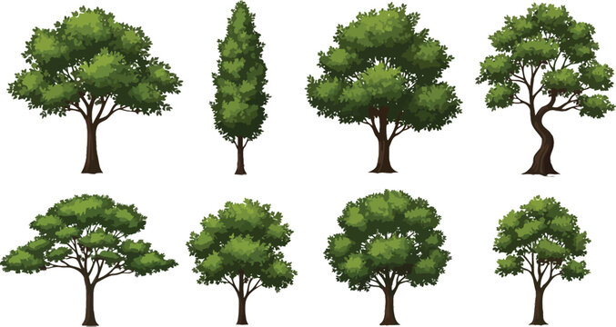 Flat illustration of different tree types Vector