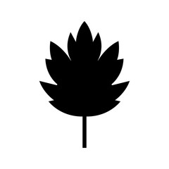 Obraz premium Grape leaf icon. Nature and vineyard filled symbol. Black and white.