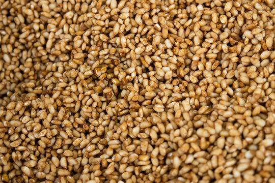 Close up texture of raw glutinous rice grains prepared for making sticky rice dumplings