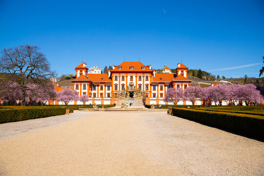 Troja Chateau with cherry blossom in Prague Czech Republic