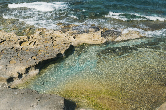 夏の地中海の潮だまり