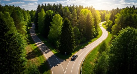 Obraz premium Winding Forest Road Fork, Car Driving Towards Sunlit Horizon