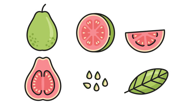 Guava fruit vector illustration with various cuts