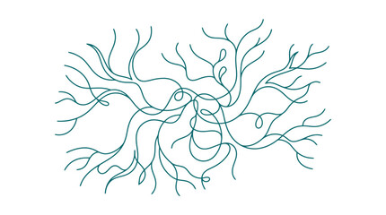 Branching Coral Structure In Marine Network.