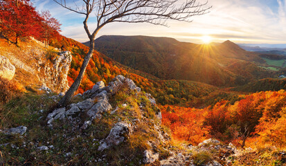 Naklejka premium Aerial view of a mountains and hills landscape with vineyard and countryside at sunset in autumn colours, Slovakia