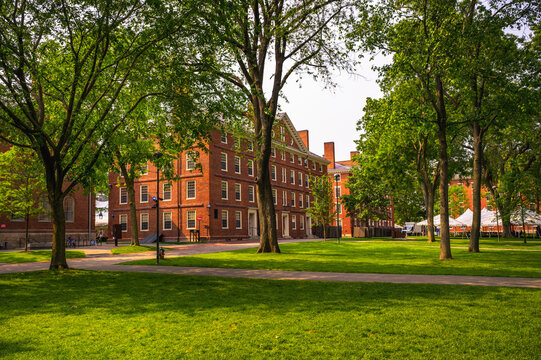 Cambridge, Massachusetts, USA - June 04, 2025 : Historic red brick academic buildings at Harvard University in Cambridge, Massachusetts, surrounded by trees and green lawn on a sunny day.